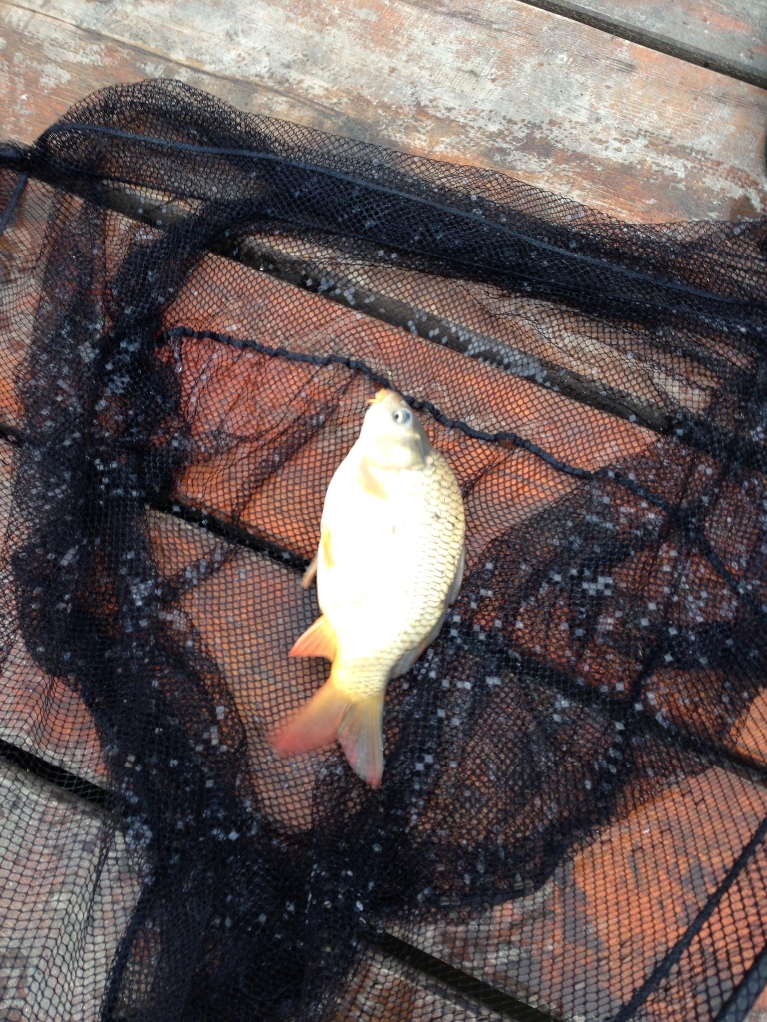 Pleasa - image1111111111.jpg